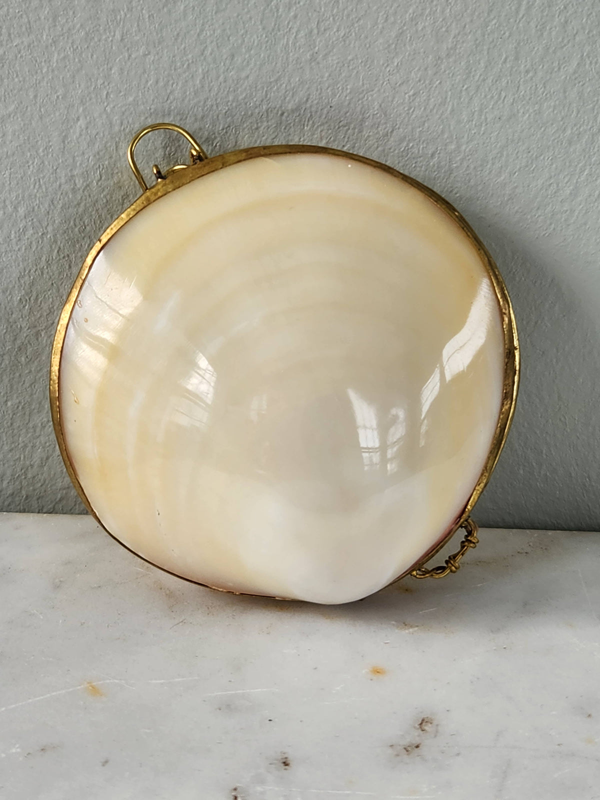 Clam Trinket Pill Box, Coin Purse