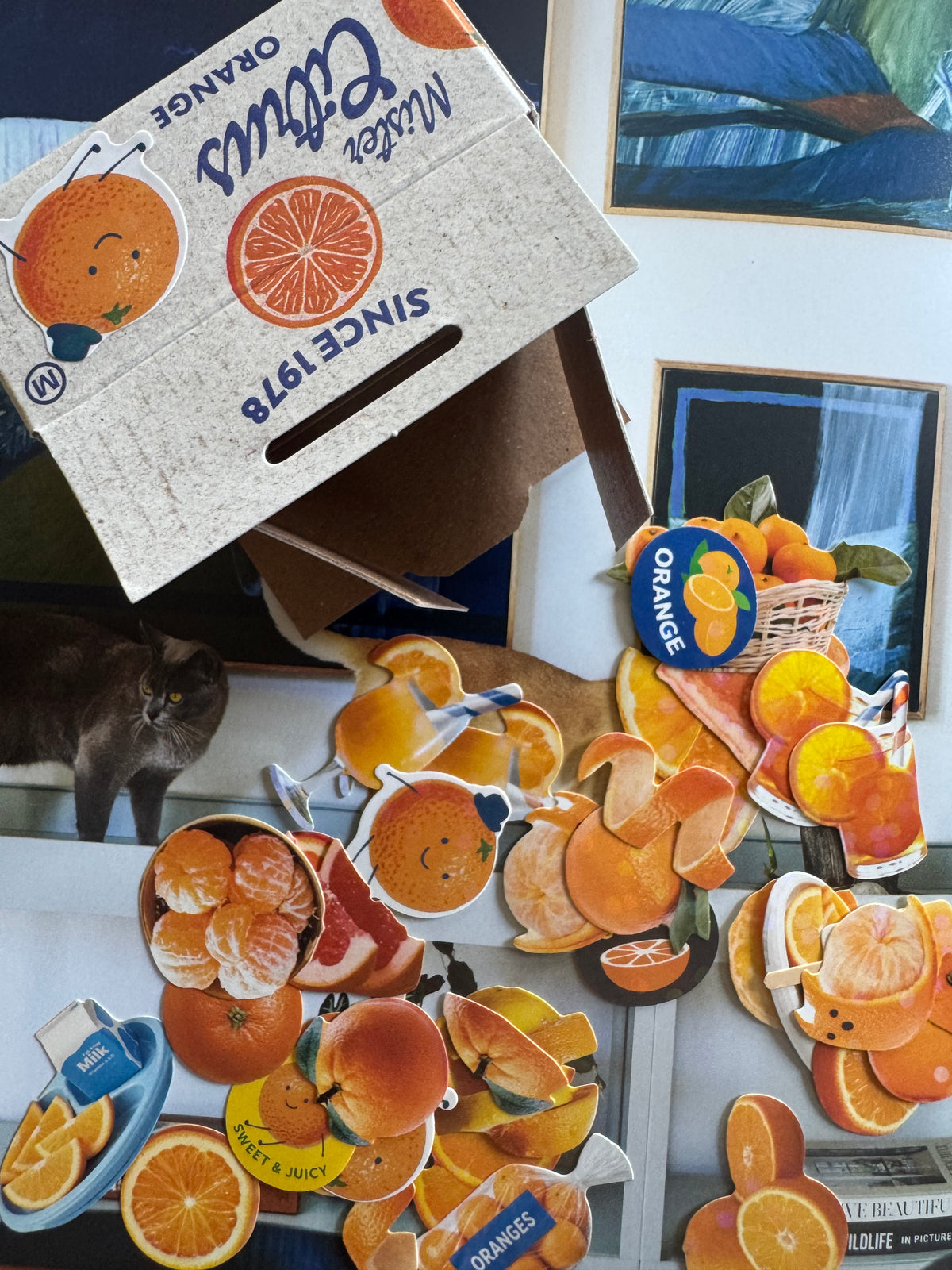 Sticker Box - Oranges