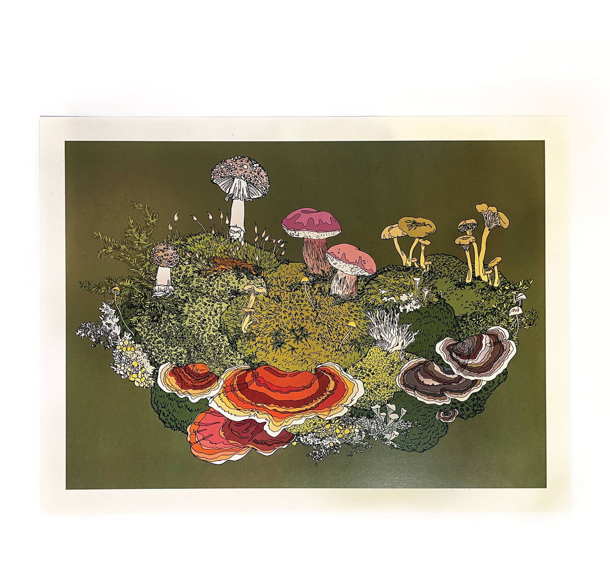 Forest Fungi Print - 12x16 inches