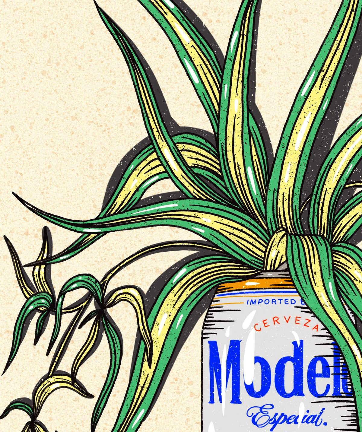 Modelo Beer Can