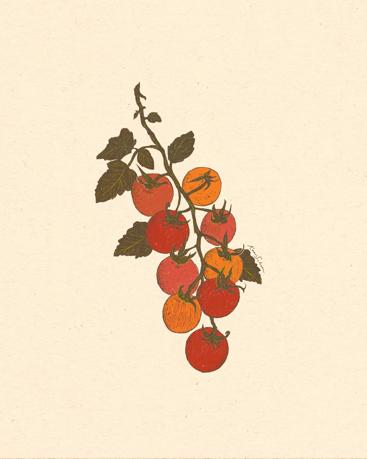 Tomato Vine Art Print: 8" x 10"