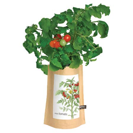 Garden in a Bag Tomato | Summer Kitchen Garden Gift