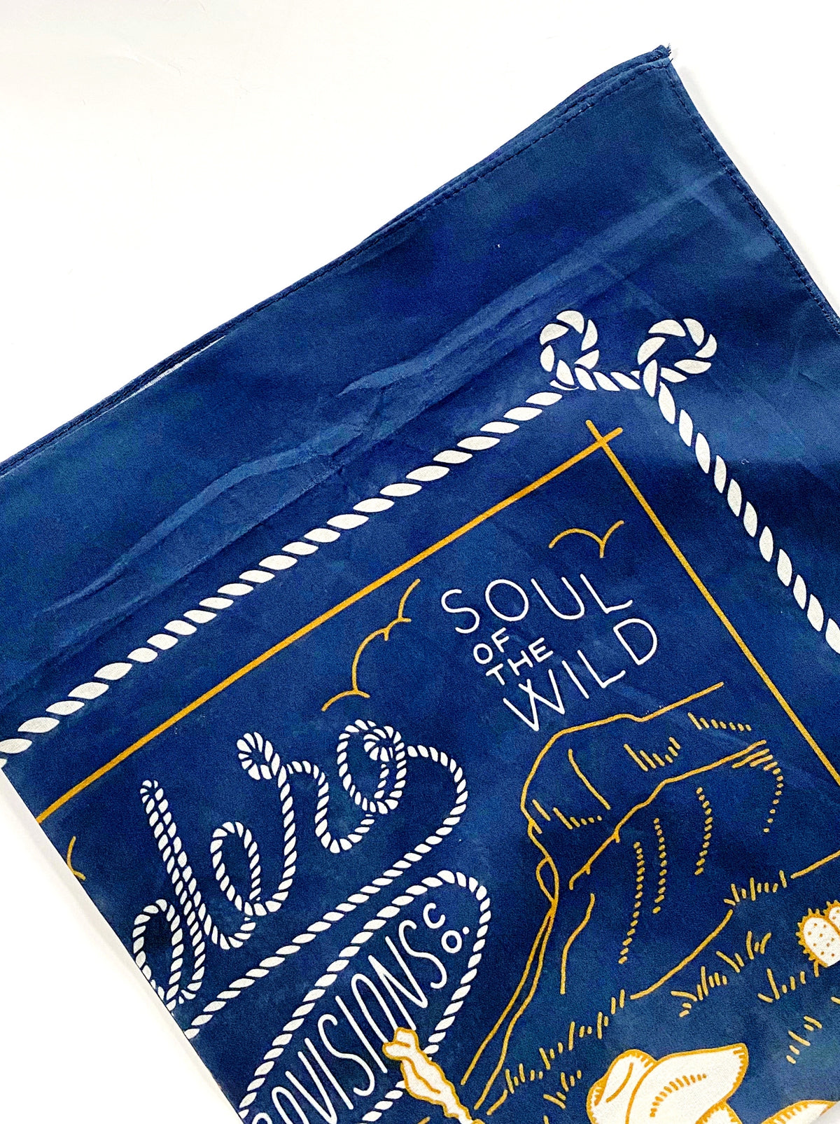 Skeleton Riders Bandanna