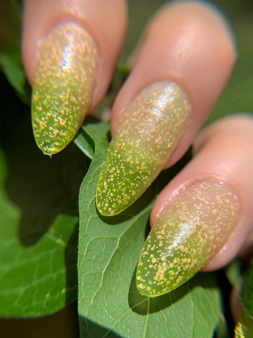 Freckles on a Frog THERMAL