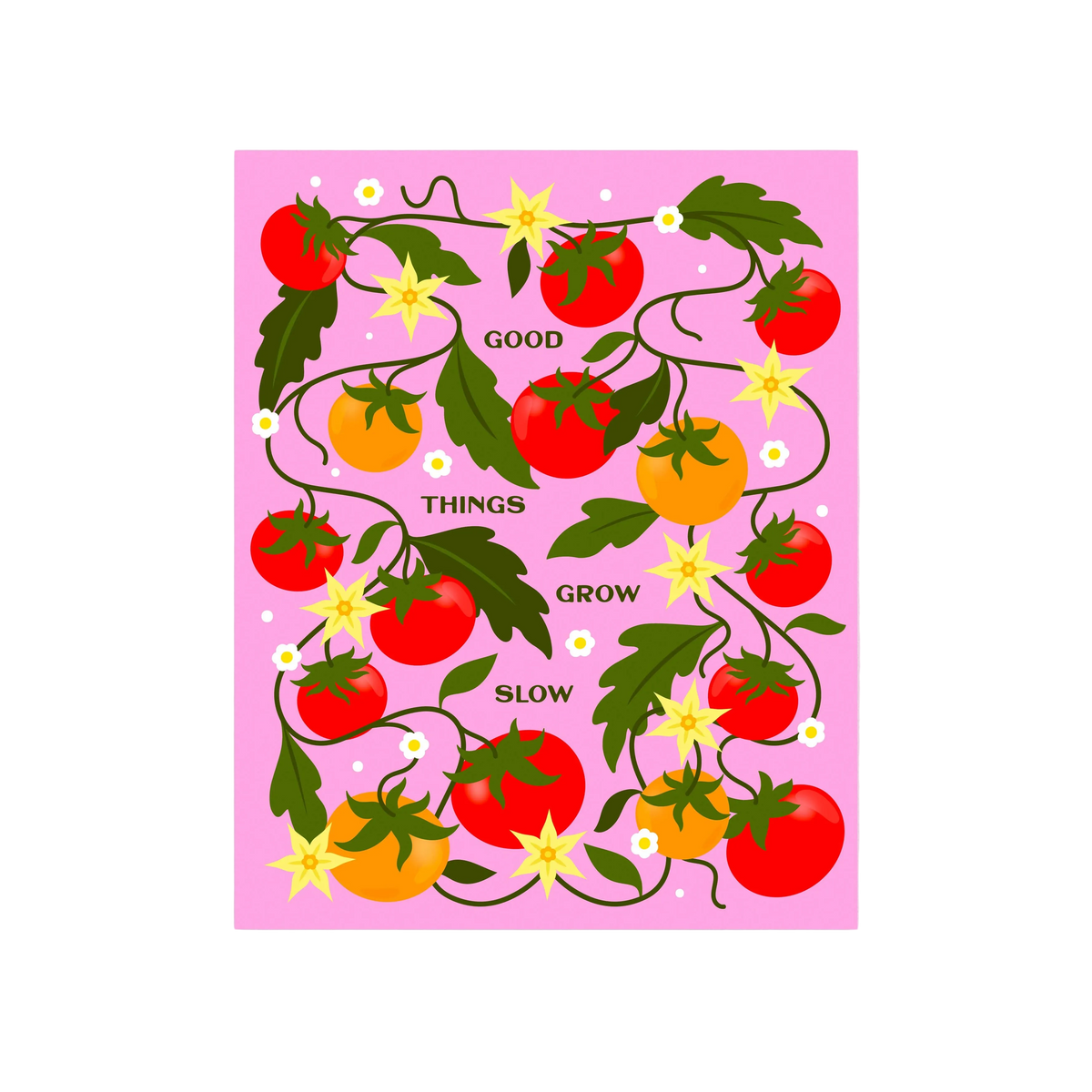 Tomato - Garden Series 8x10in Print
