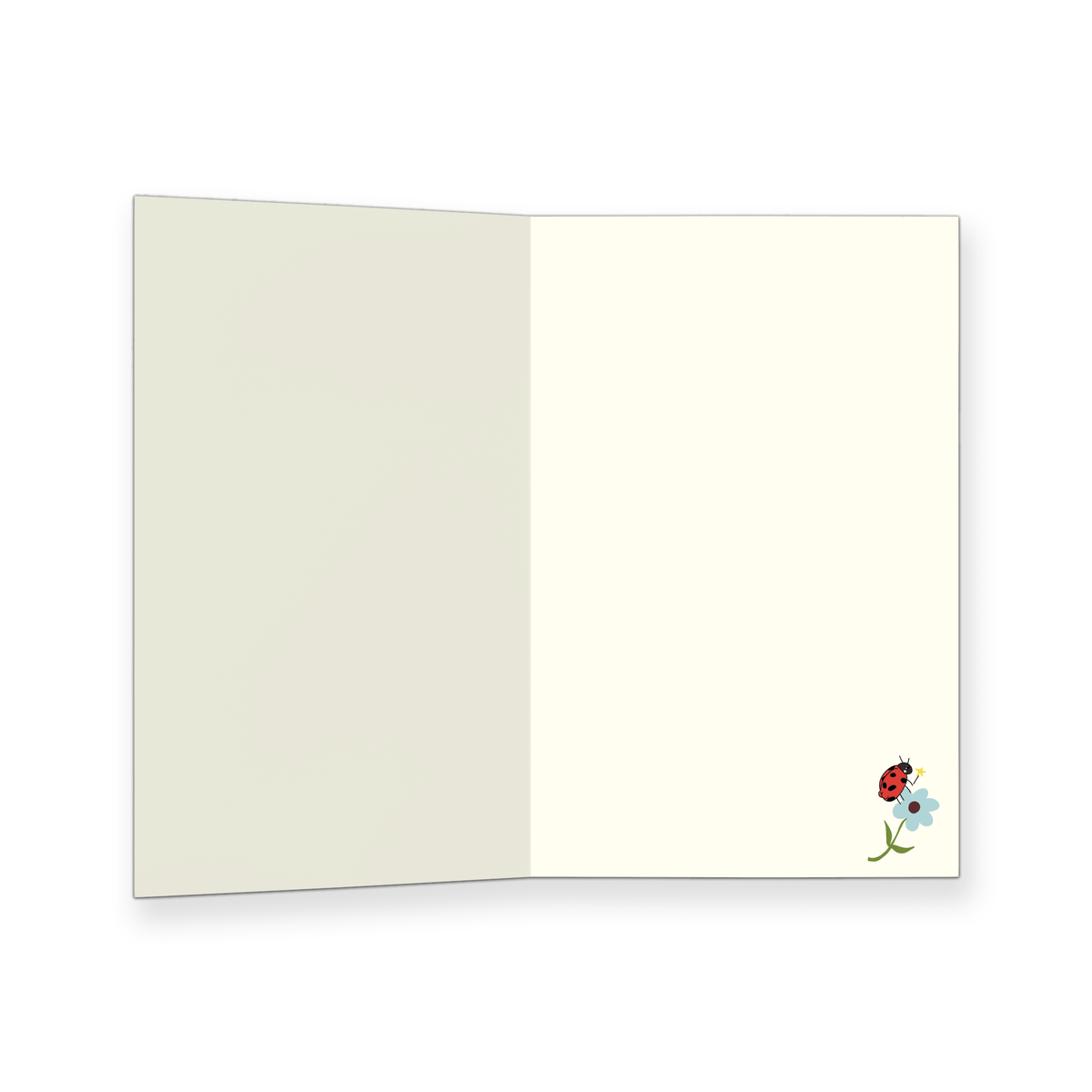 Birthday cat card, funny birthday cards for her