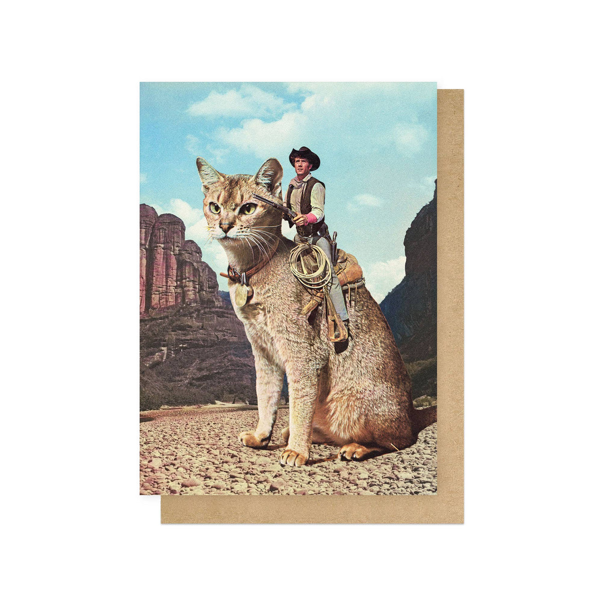 Cat Lone Ranger Greetings Card: Bio-Cello