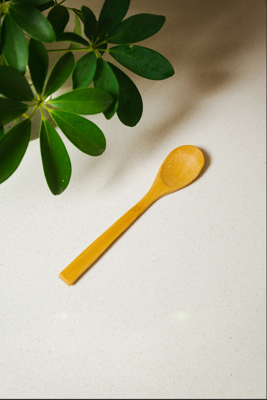 Individual Bamboo Utensil | Spoon, Knife, Fork : Spoon