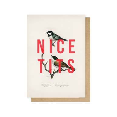 Nice Tits Greetings Card: Bio-Cello