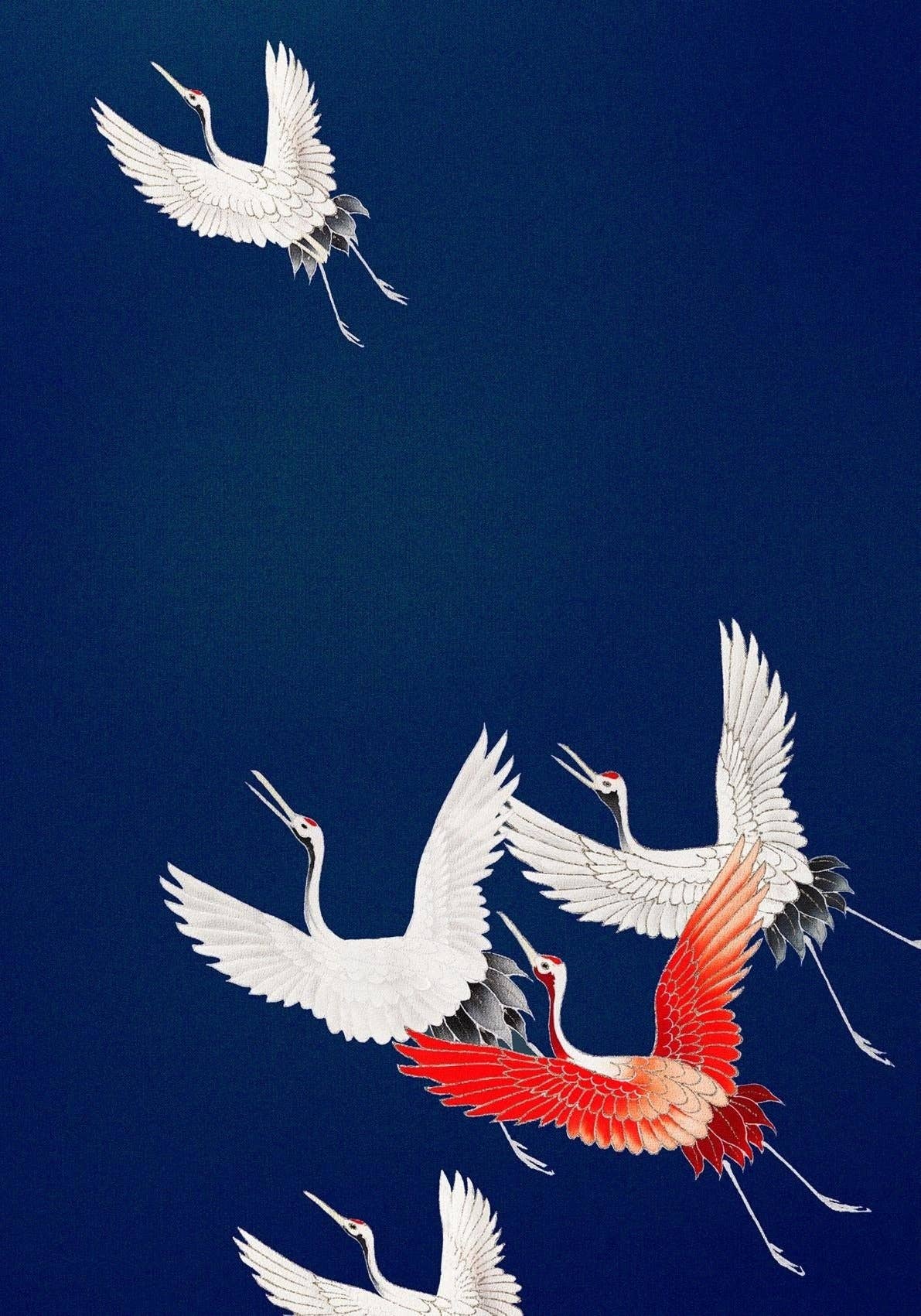 Cranes in Blue Japanese