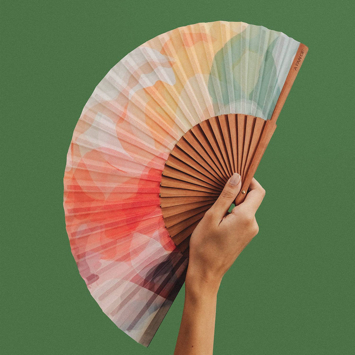 COLOR HARMONY Fan - Medium - Multicolor