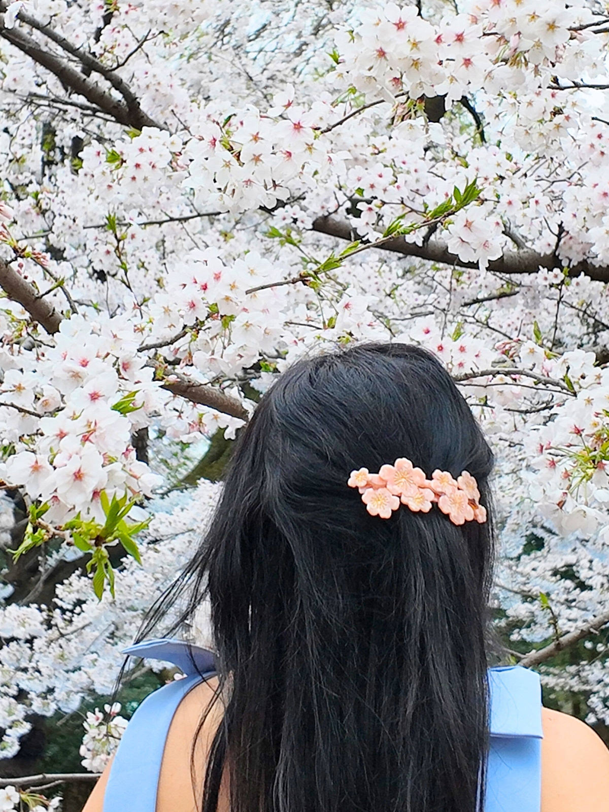 Hand-painted Cherry Blossom French Barrette Hair Clip