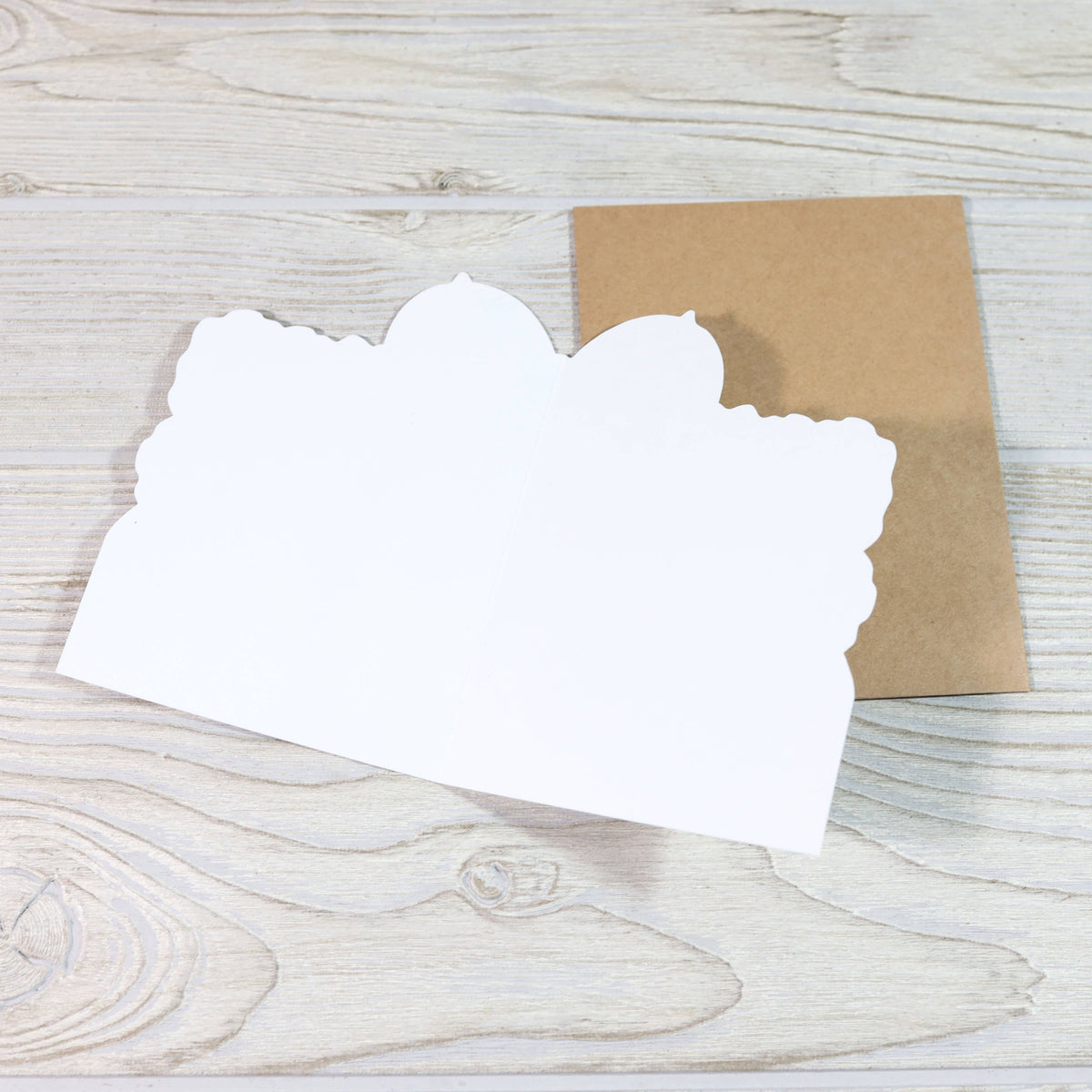 Funny Mother’s Card - Mom Thanks for Putting up With My Shit