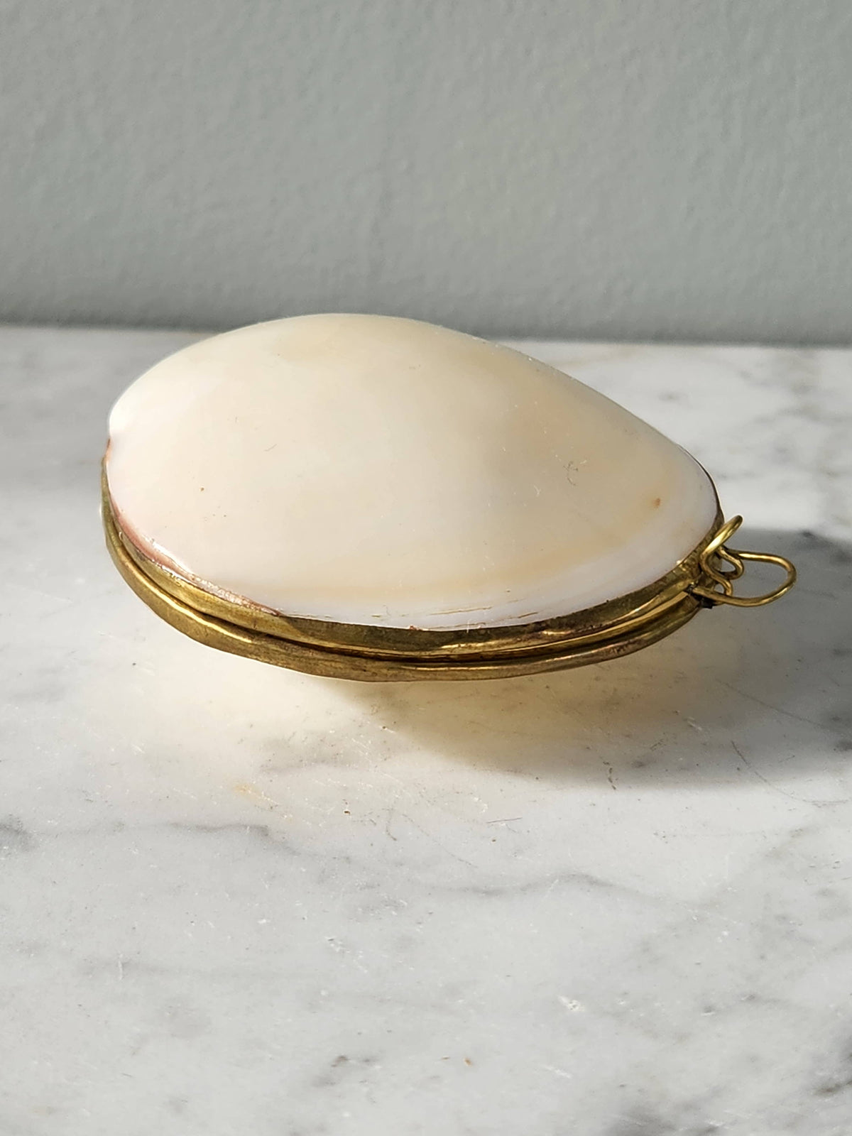 Clam Trinket Pill Box, Coin Purse