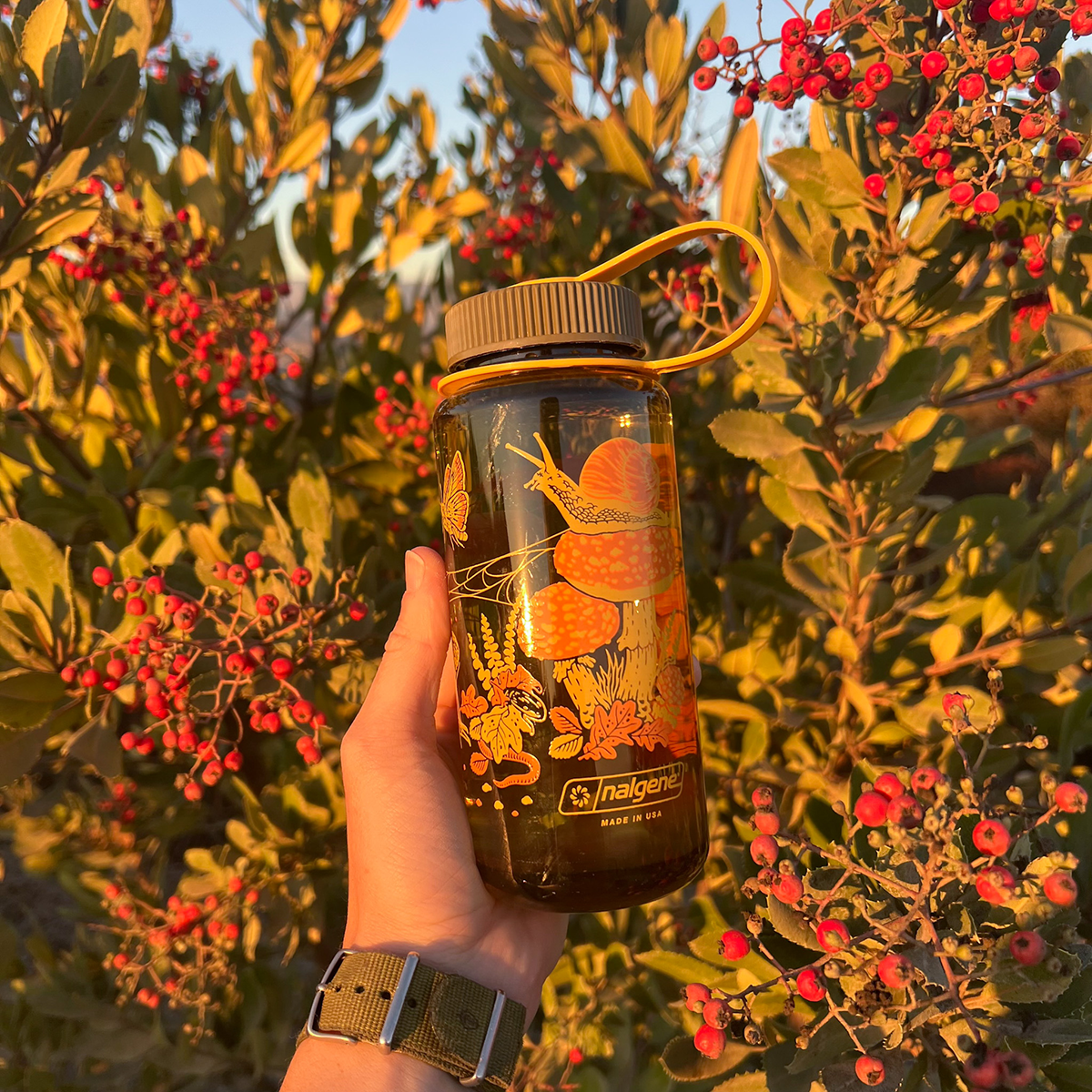 16oz Toad &amp; Mushrooms, Wide Mouth Nalgene Water Bottle