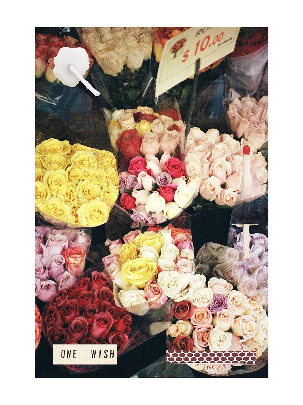 Roses