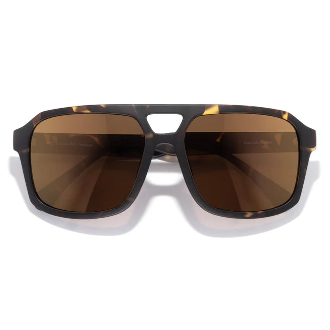 Paladino - Tortoise Bronze