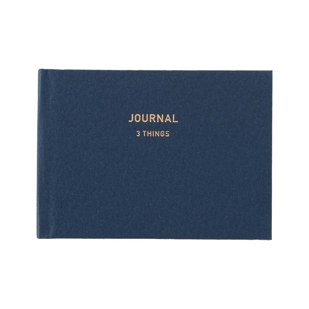 Easy Journal 3 Things: Blue