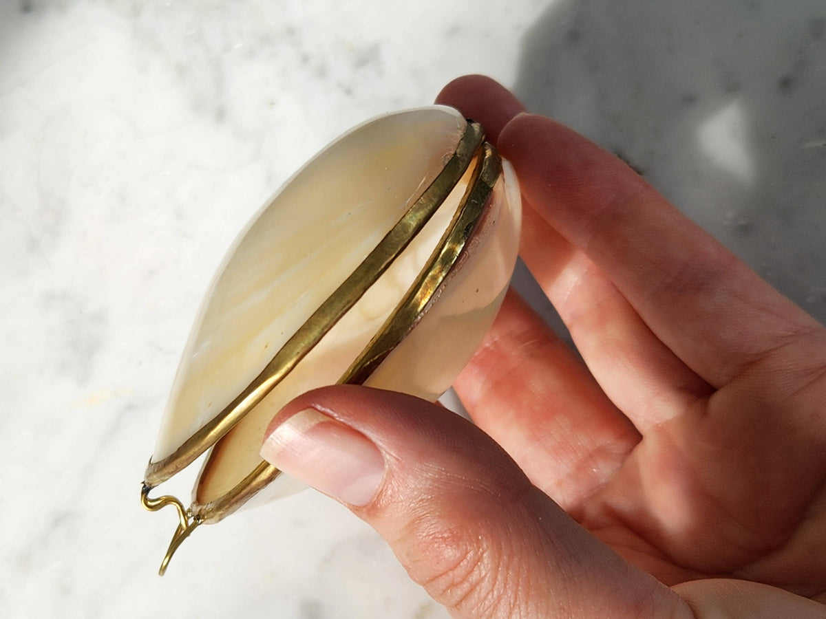 Clam Trinket Pill Box, Coin Purse