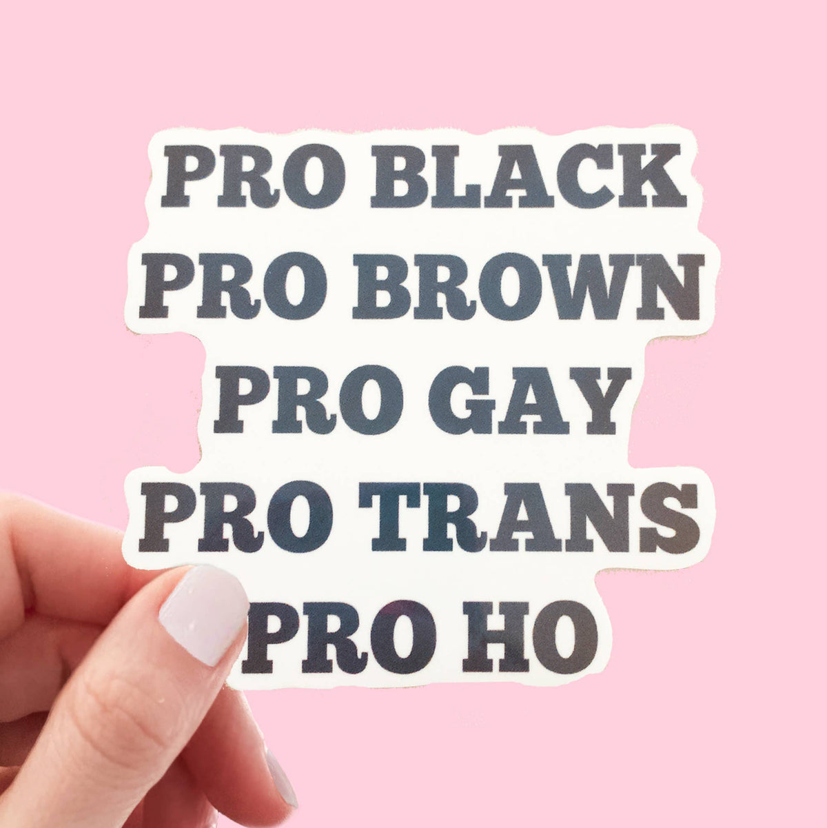 “Pro Black Pro Brown Pro Gay Pro Trans Pro Ho” Matte Sticker