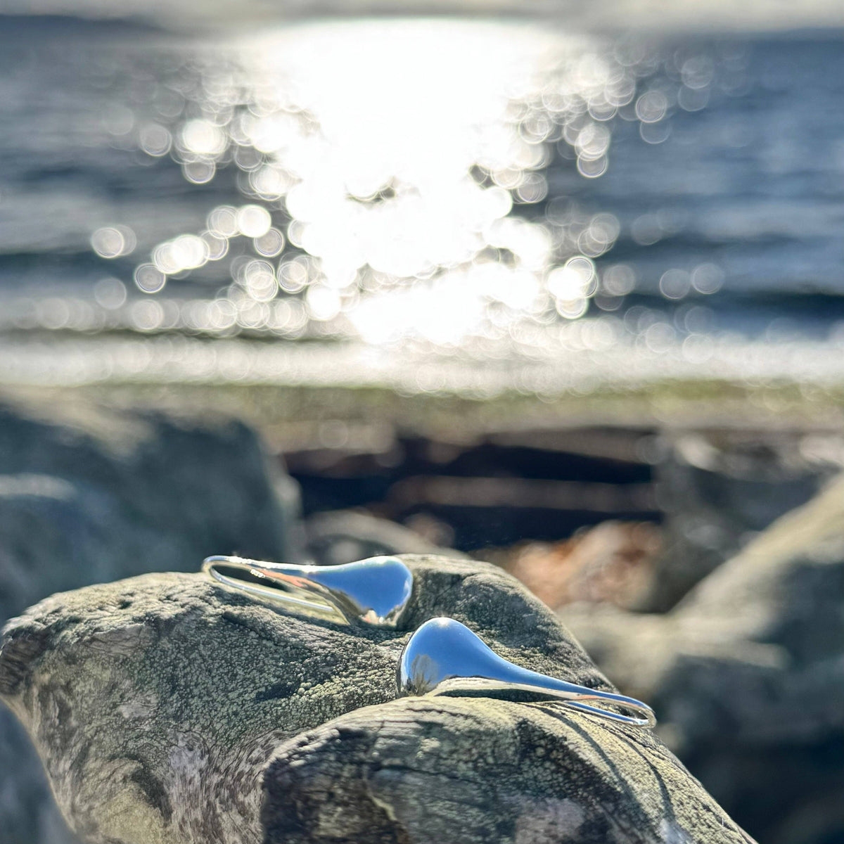 Silver Rain Earrings