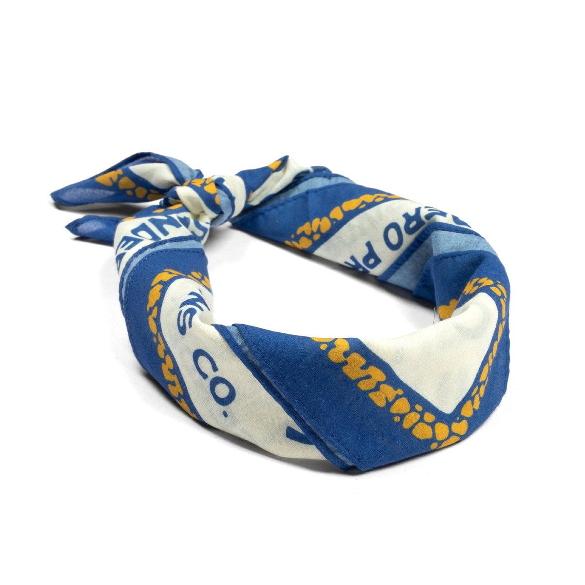Cowboy Campfire Bandanna