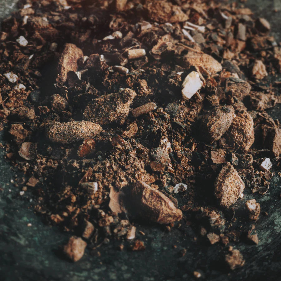 Ancient Medicine Coffee Blend: Saga (Norma)