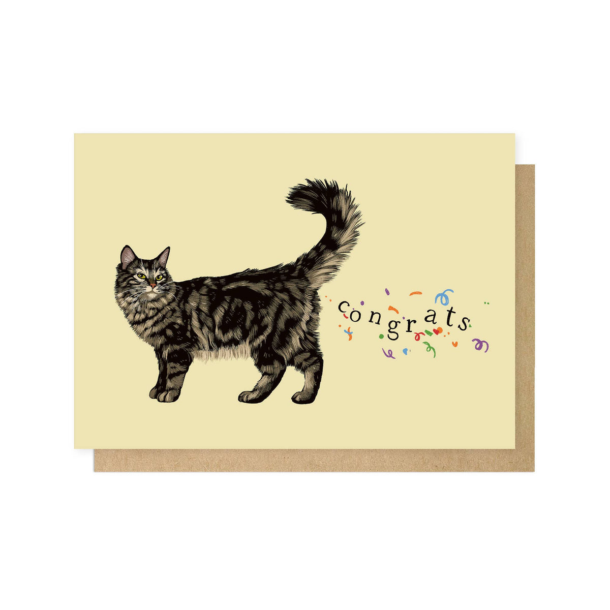Congrats Cat Greetings Card: Bio-Cello