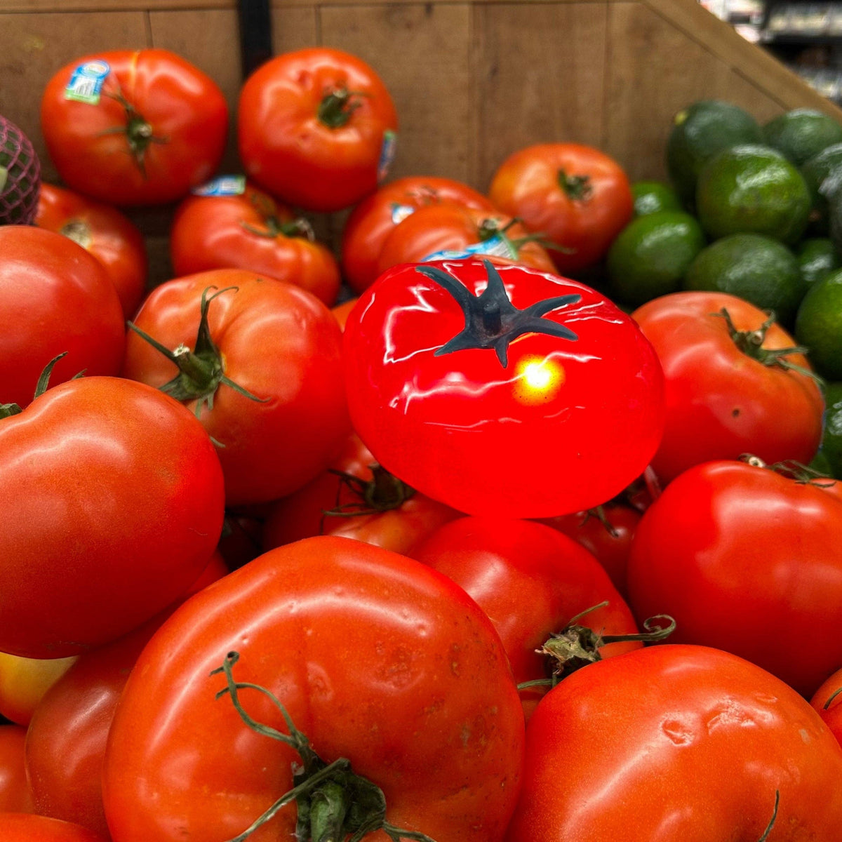 The Tomato Lamp *PREORDER*