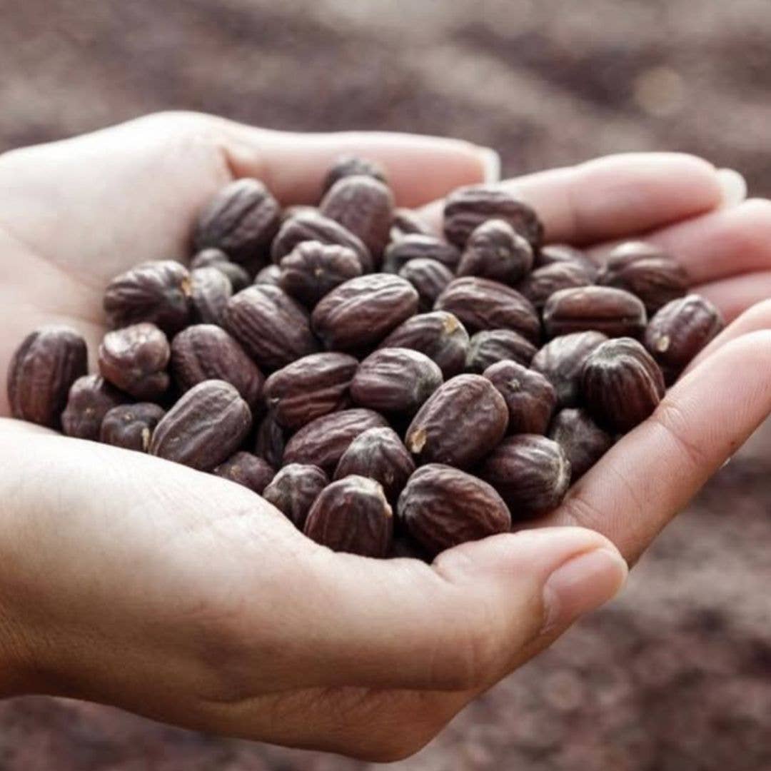 Santal + Jojoba Oil, 100% Organic