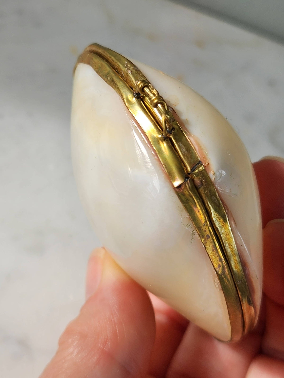 Clam Trinket Pill Box, Coin Purse