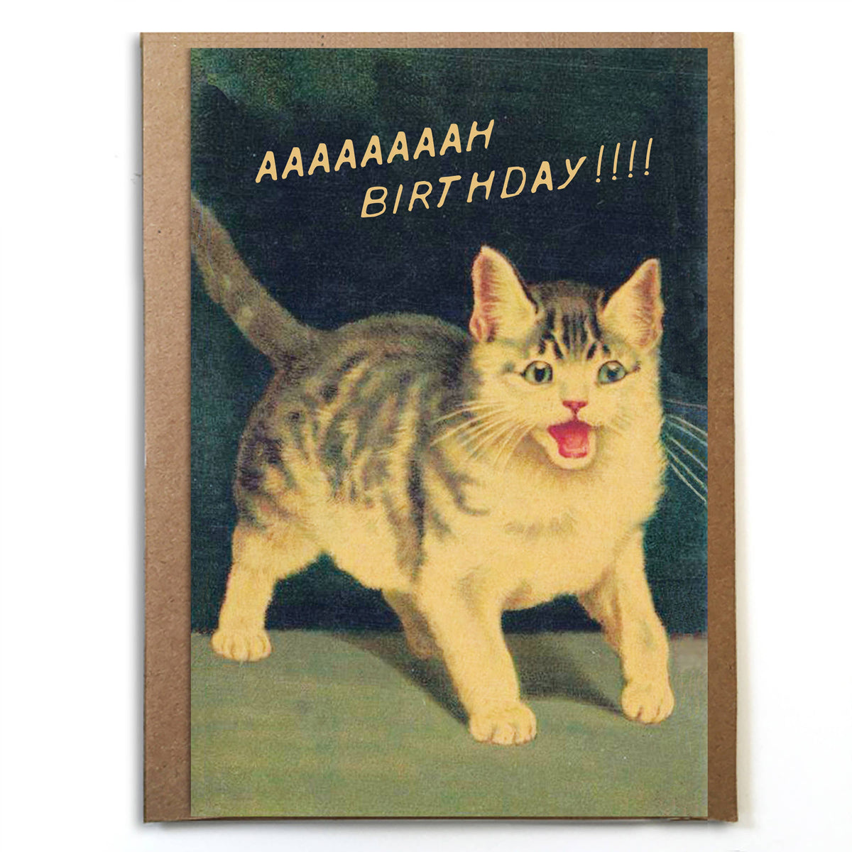 Cat Birthday Aaaaaaaaah!