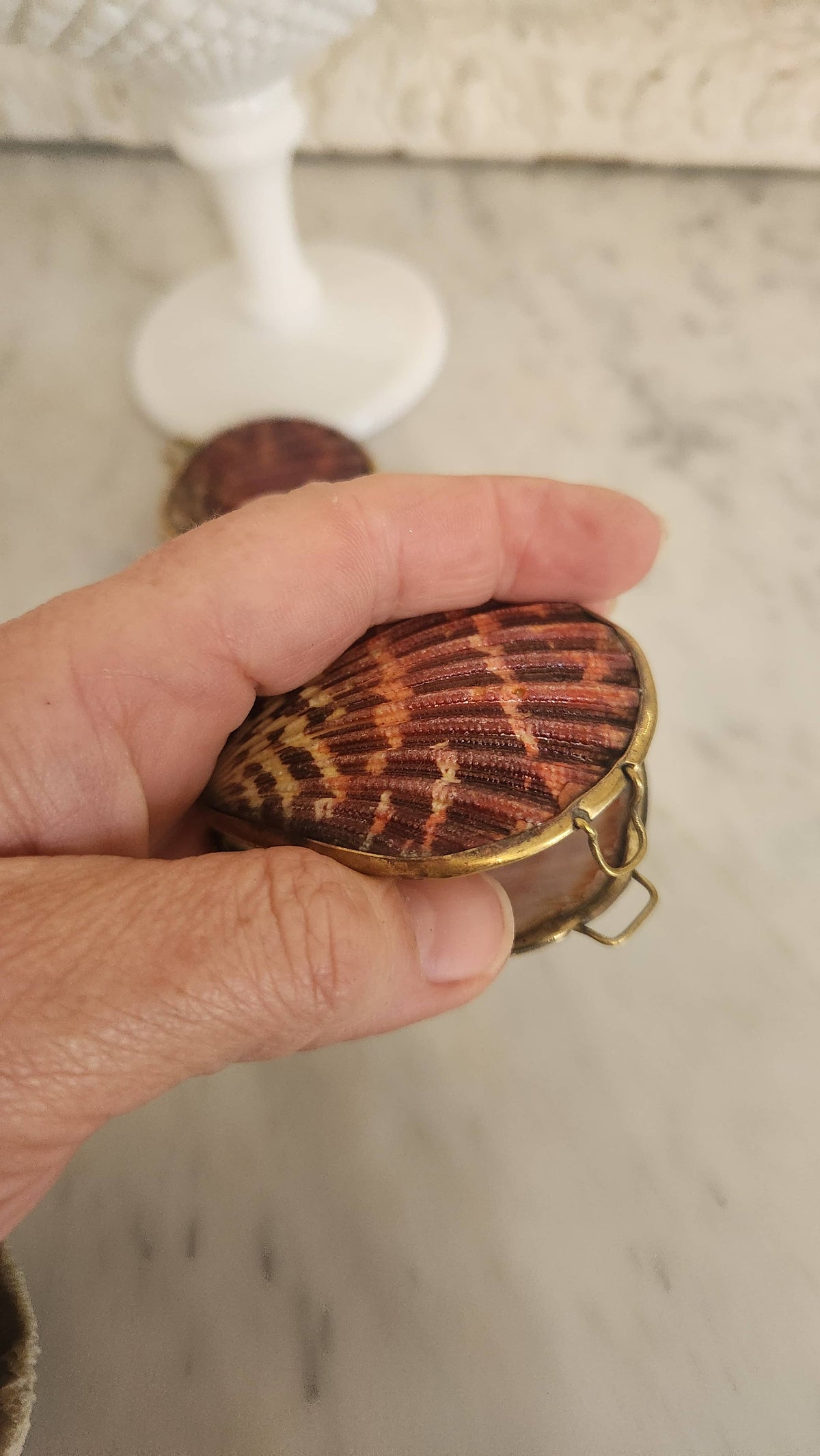 Pink Pectin Scallop Trinket Pill Box, Coin Purse