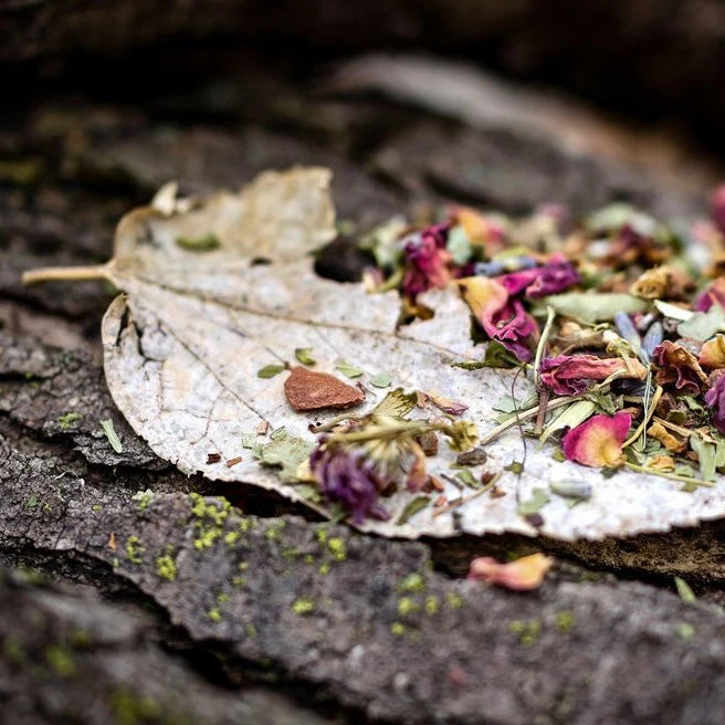 Nocturne (Norma) Ancient Medicine Tea Blend: