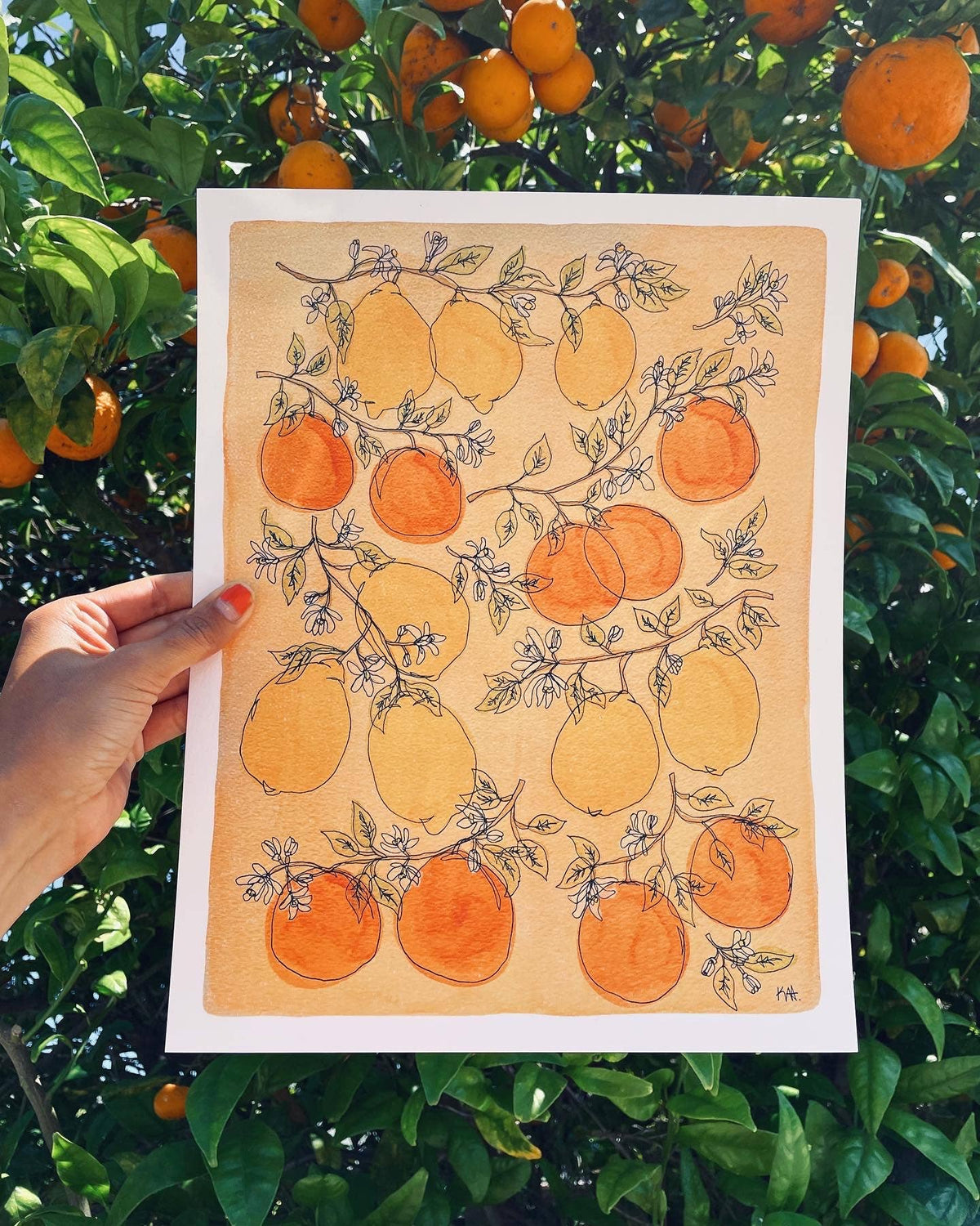 11x14 Lemons and Oranges Print