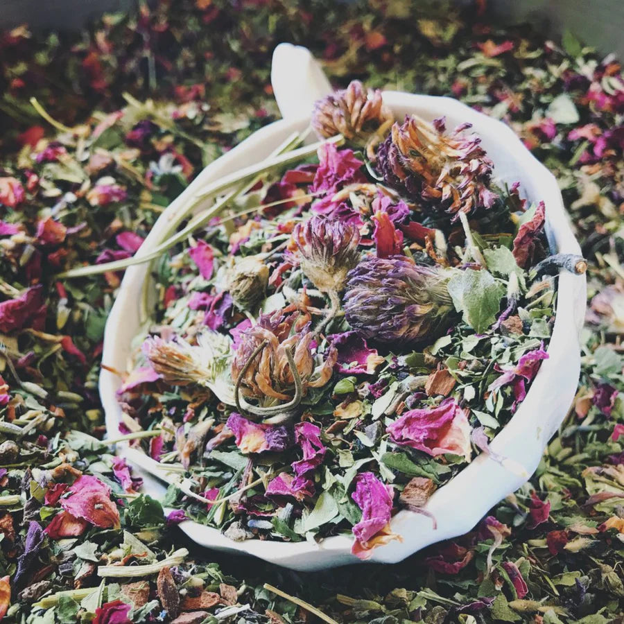 Nocturne (Norma) Ancient Medicine Tea Blend:
