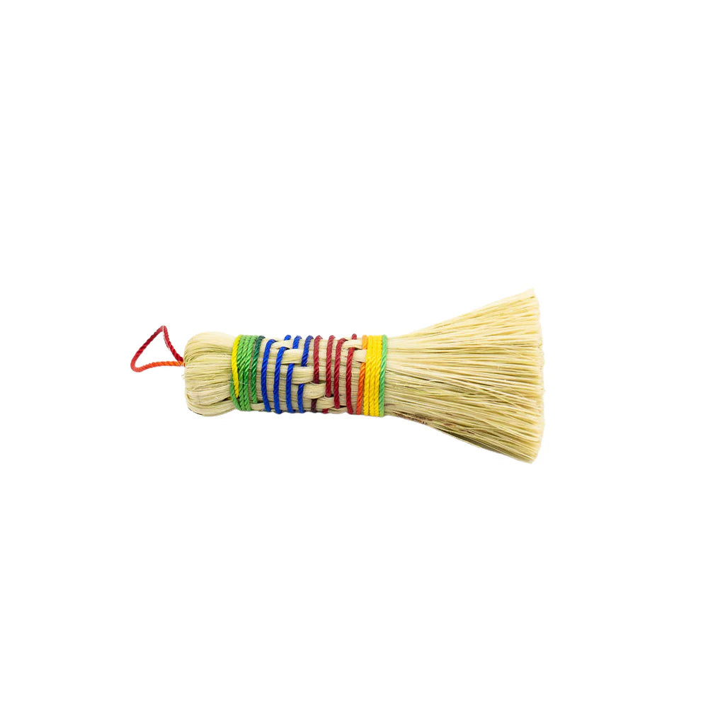 Agave Fiber Cleaning Brush Rainbow