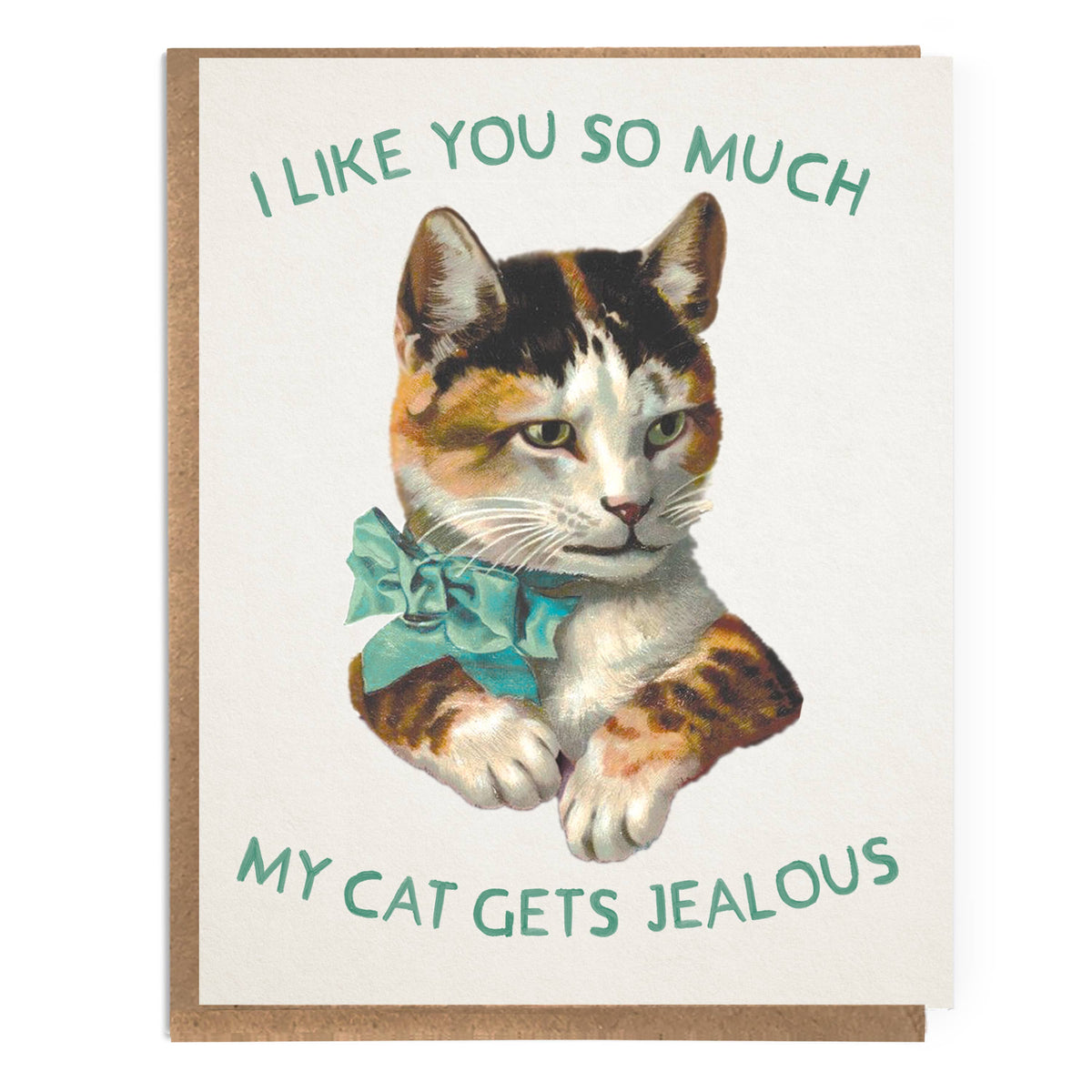 I Like You So Much My Cat Gets Jealous