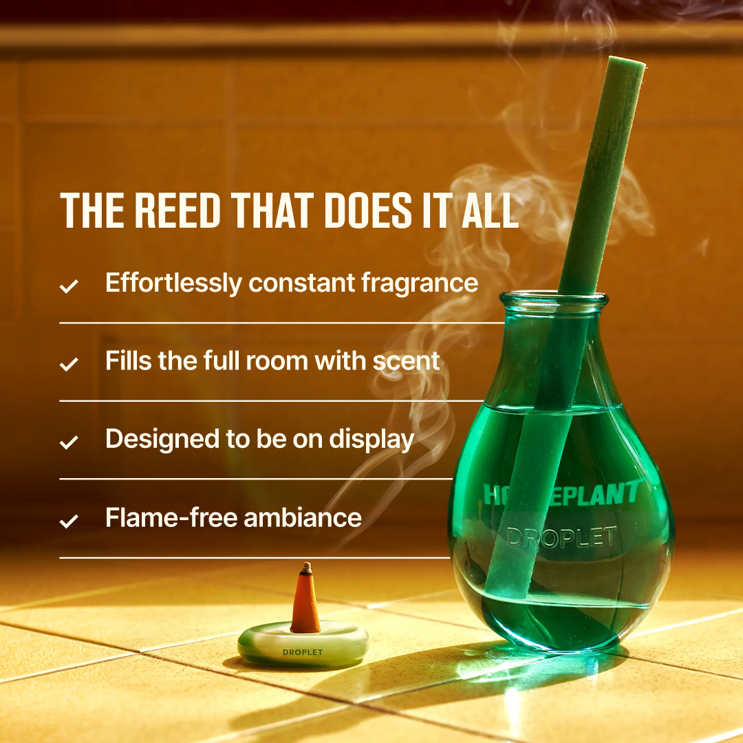 Houseplant by DROPLET The House Scent Reed Diffuser | 150ml