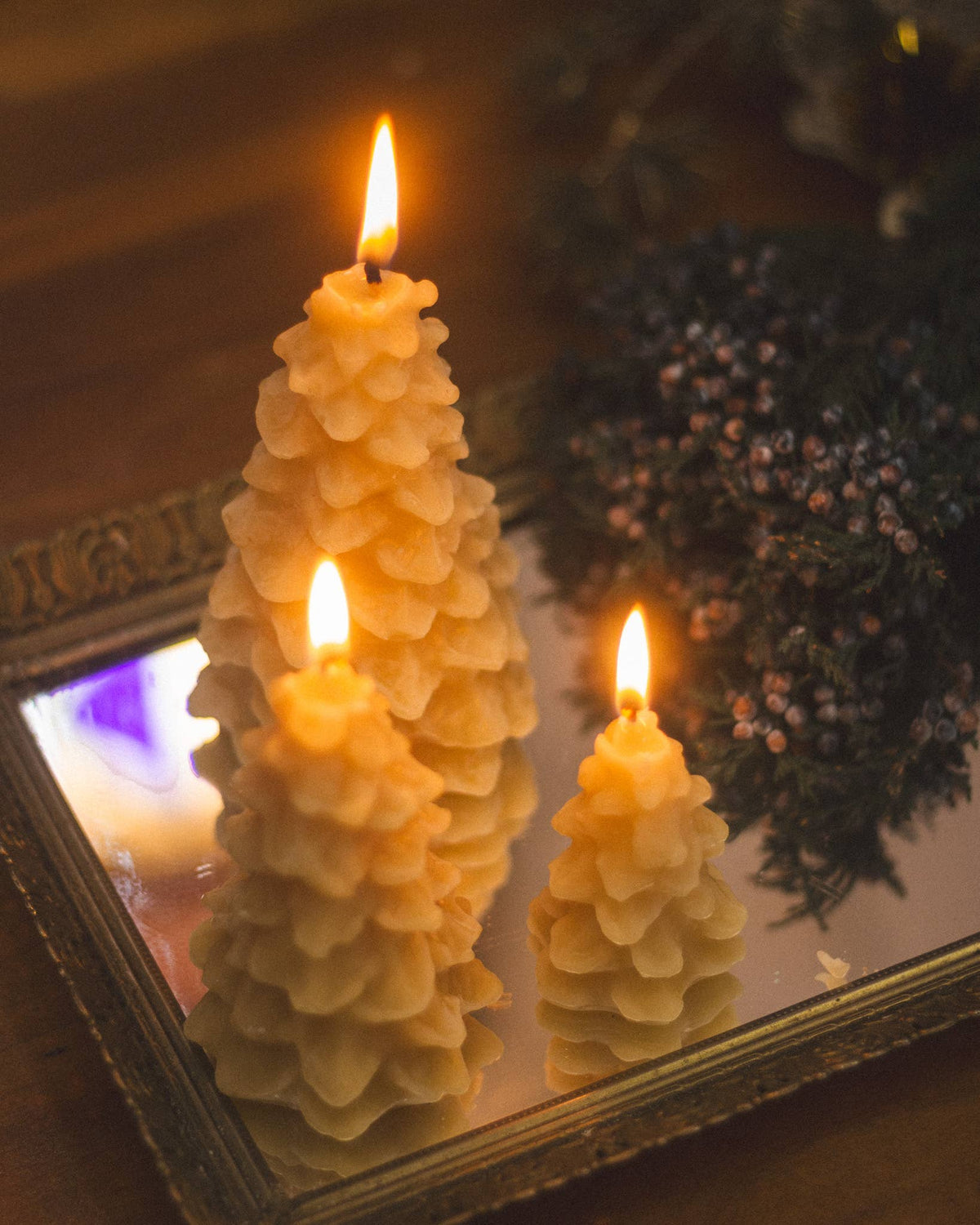 Beeswax Tree Candle: Medium