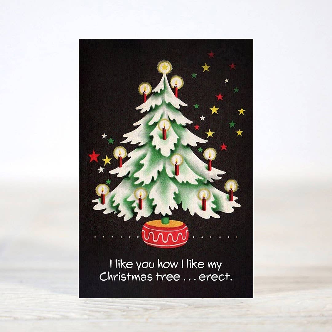 Mini 12 Days of Dirty & Flirty Christmas Card Gift Set