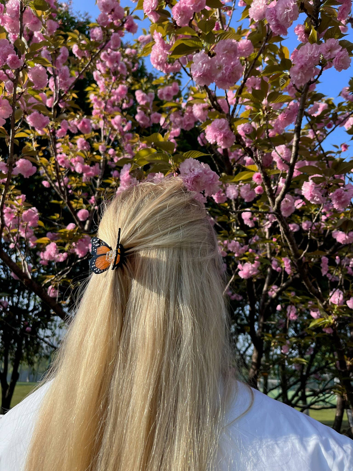 Hand-painted Mini Monarch Claw Hair Clip