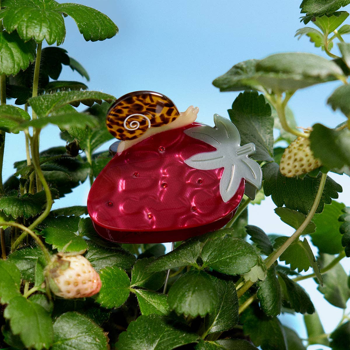 Strawberry Garden Snail Fruit Acetate Hair Claw Clip