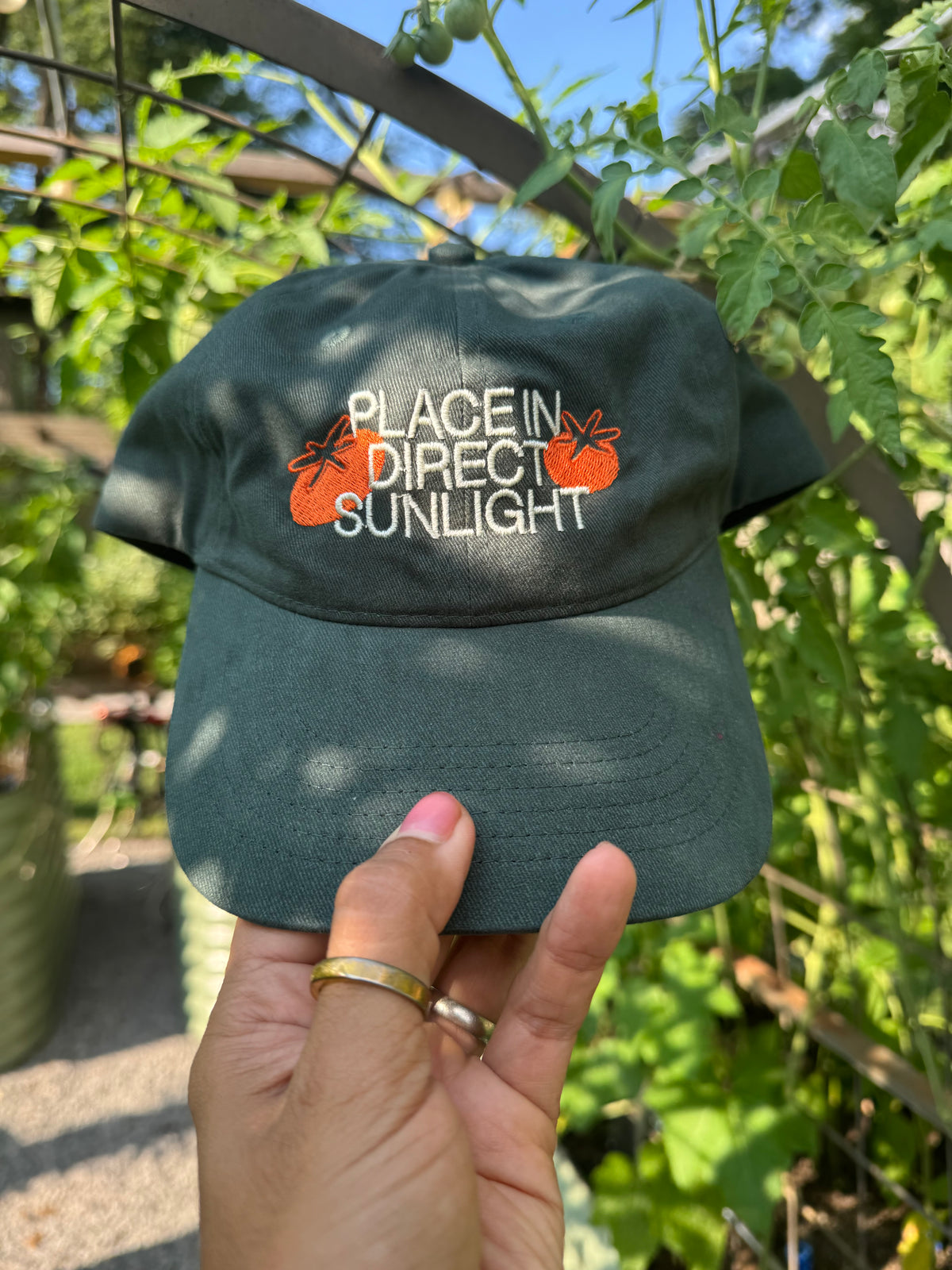 “Place In Direct Sunlight” Tomato Dad Hat