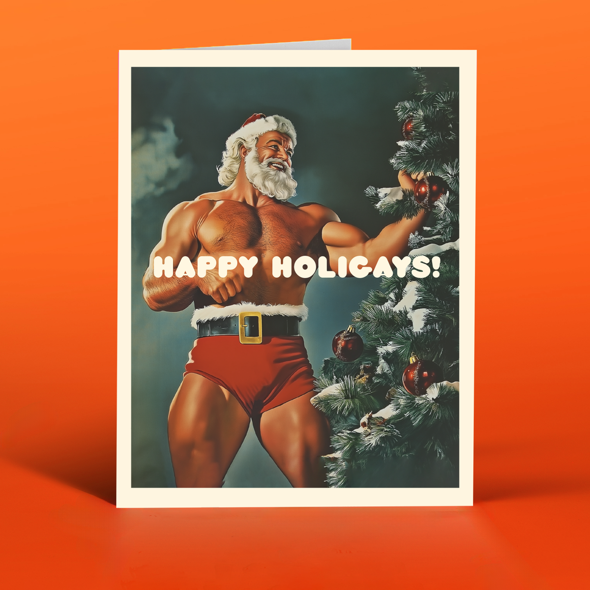 HAPPY HOLIGAYS! lgbtq christmas card
