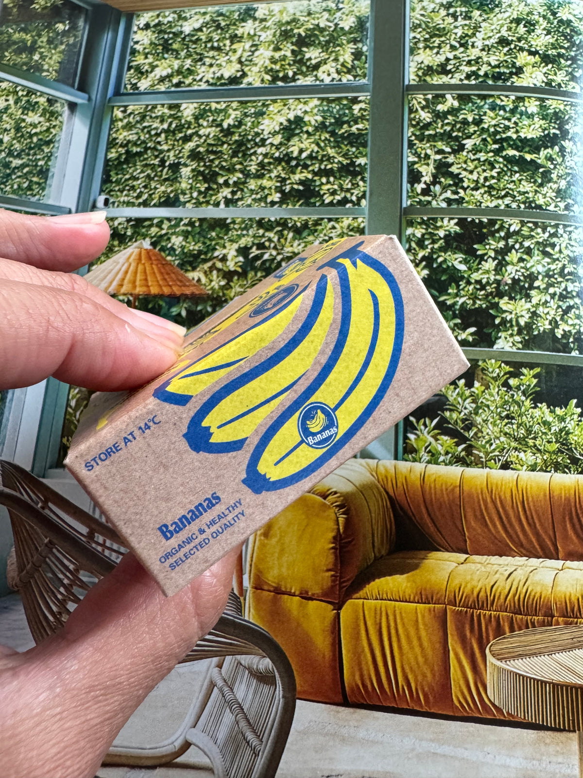 Sticker Box - Banana