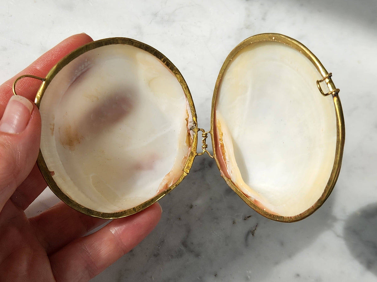 Clam Trinket Pill Box, Coin Purse
