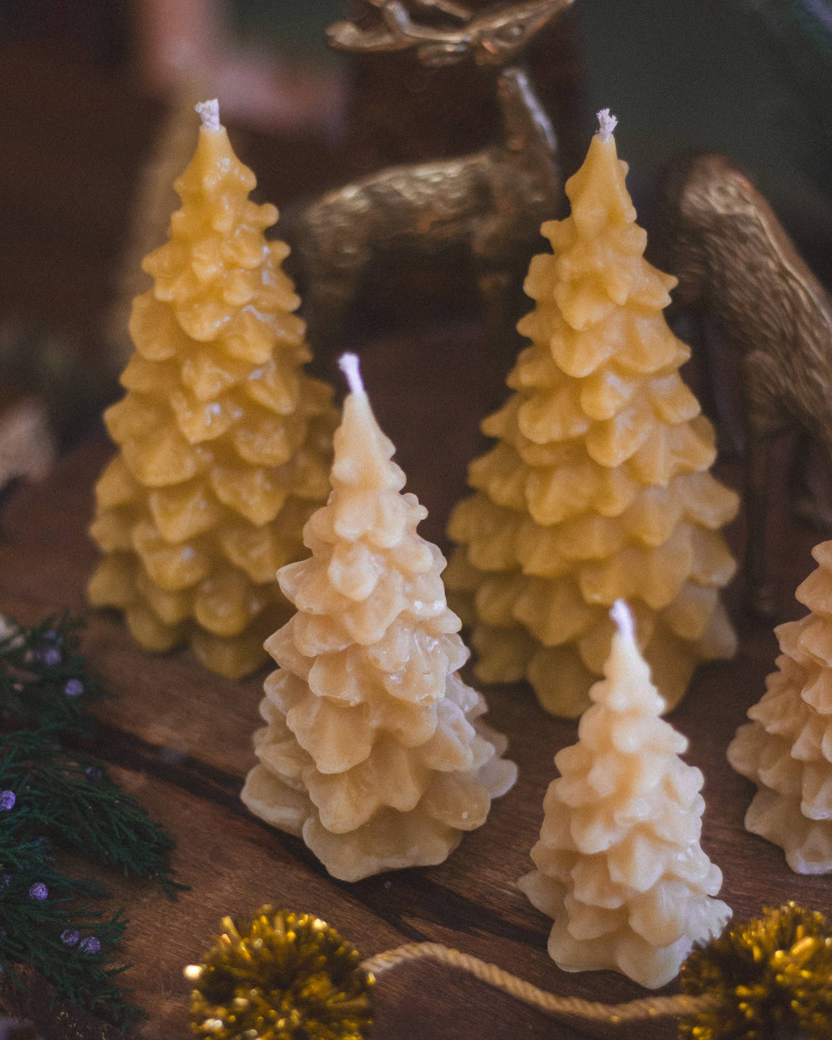 Beeswax Tree Candle: Medium