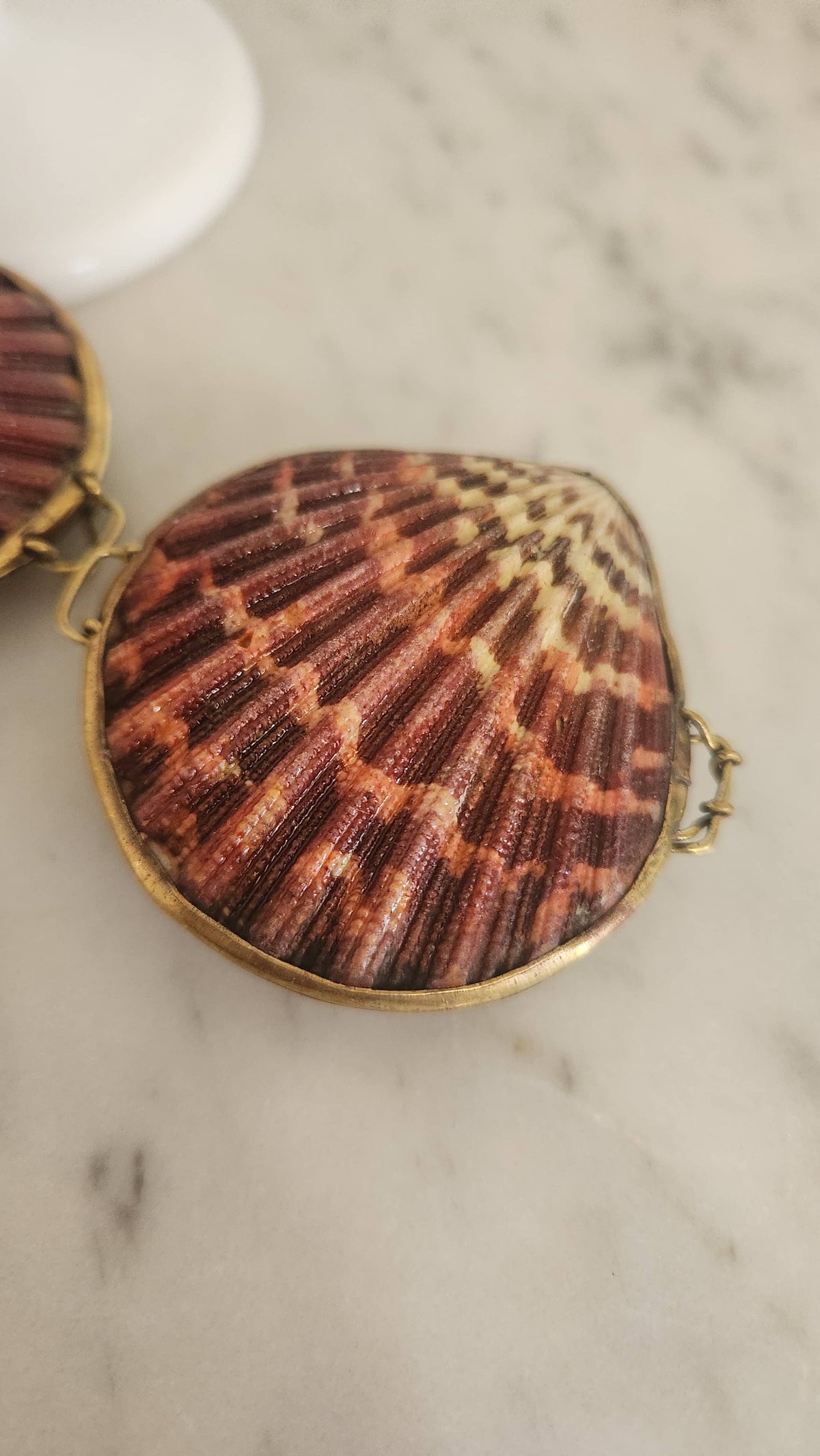 Pink Pectin Scallop Trinket Pill Box, Coin Purse