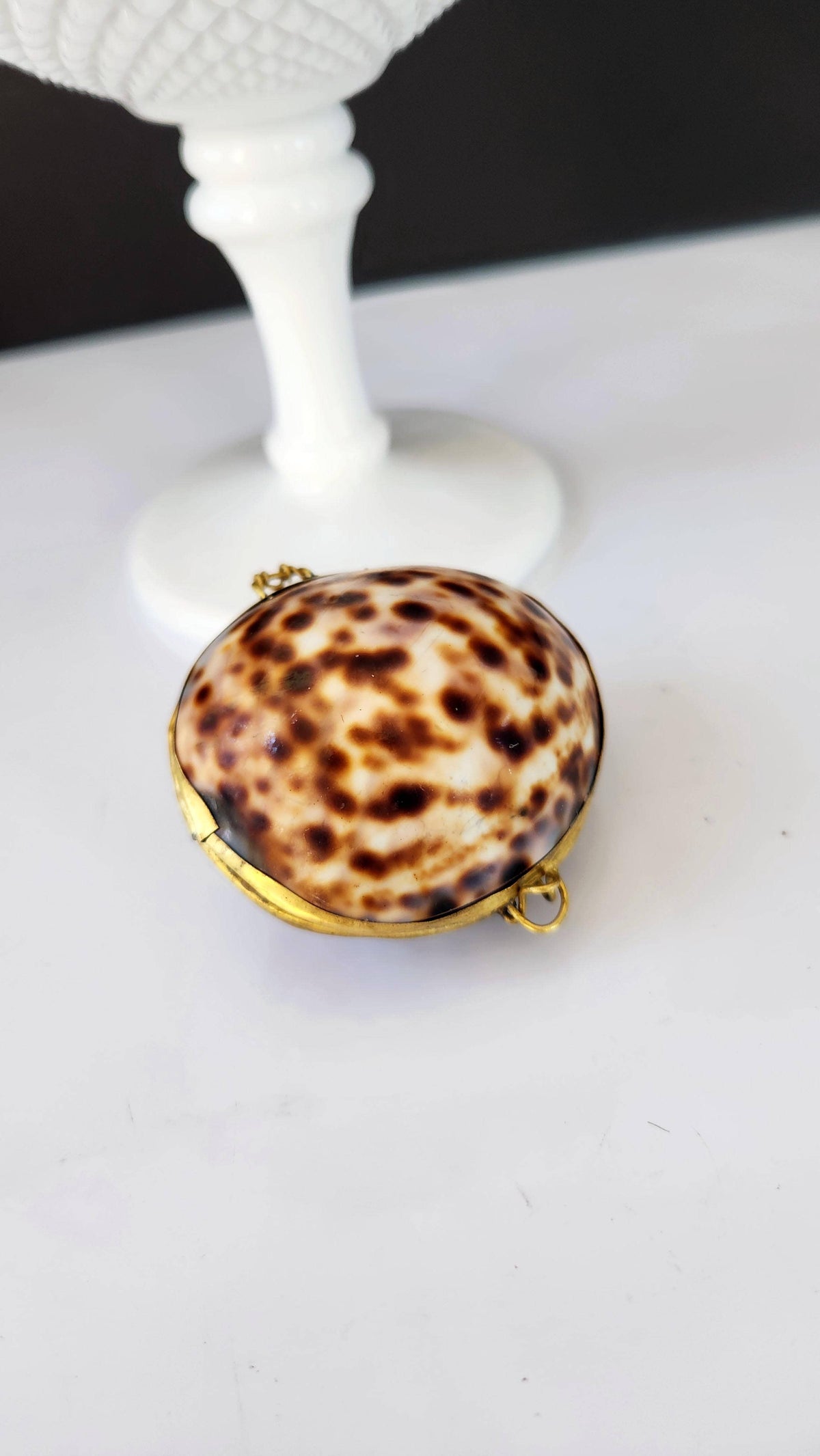 Tiger Cowrie Trinket Pill Box, Coin Purse